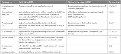 Uncovering sarcopenia and frailty in older adults by using muscle ultrasound—A narrative review